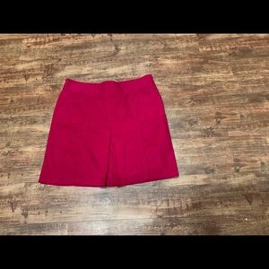 Ann Taylor Miniskirt